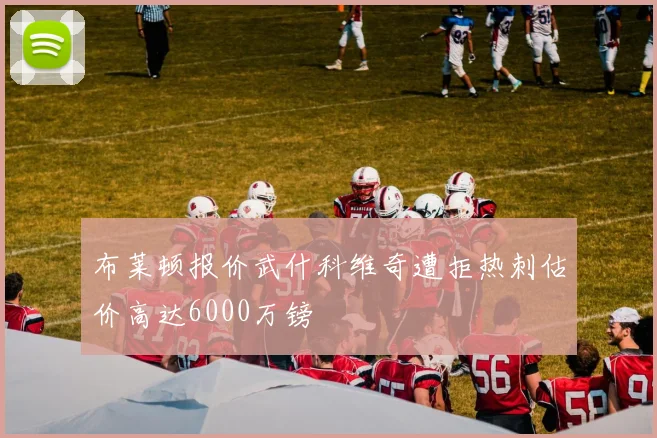 布莱顿报价武什科维奇遭拒热刺估价高达6000万镑