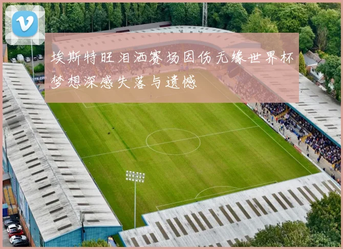 埃斯特旺泪洒赛场因伤无缘世界杯梦想深感失落与遗憾